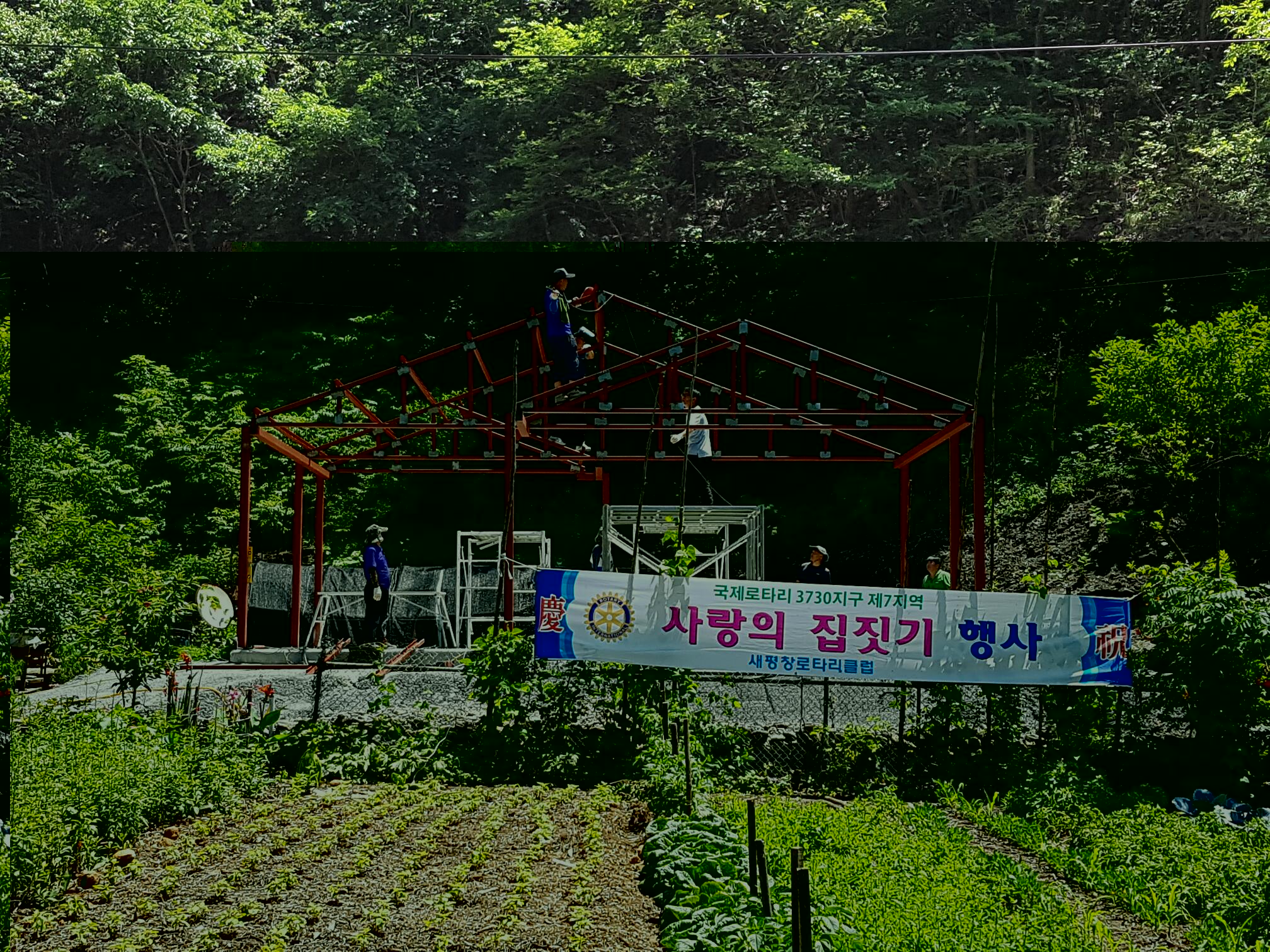 사랑의짓집기(7.9).jpg