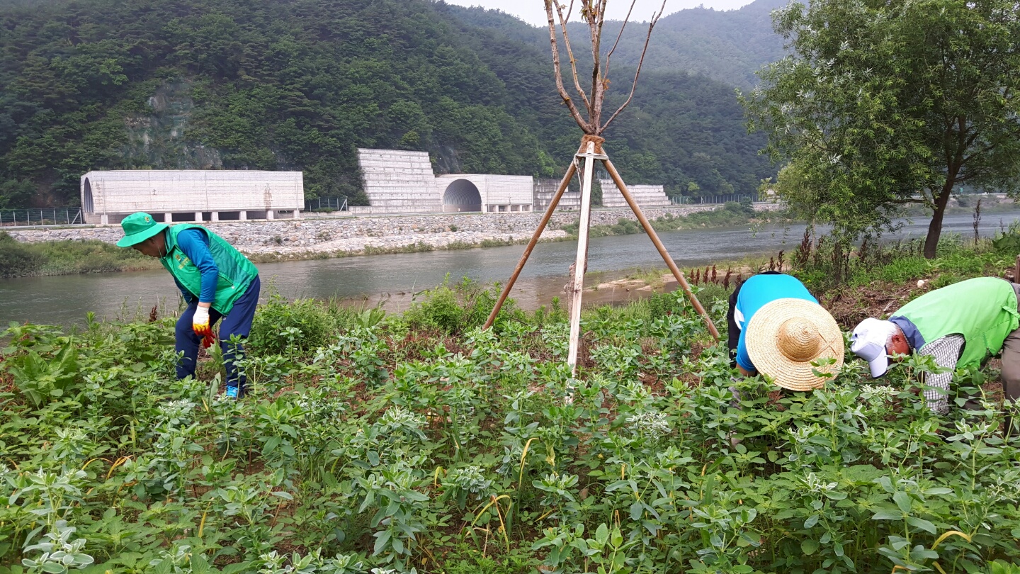 주민참여백일홍축제(새마을야유회)(3).JPG