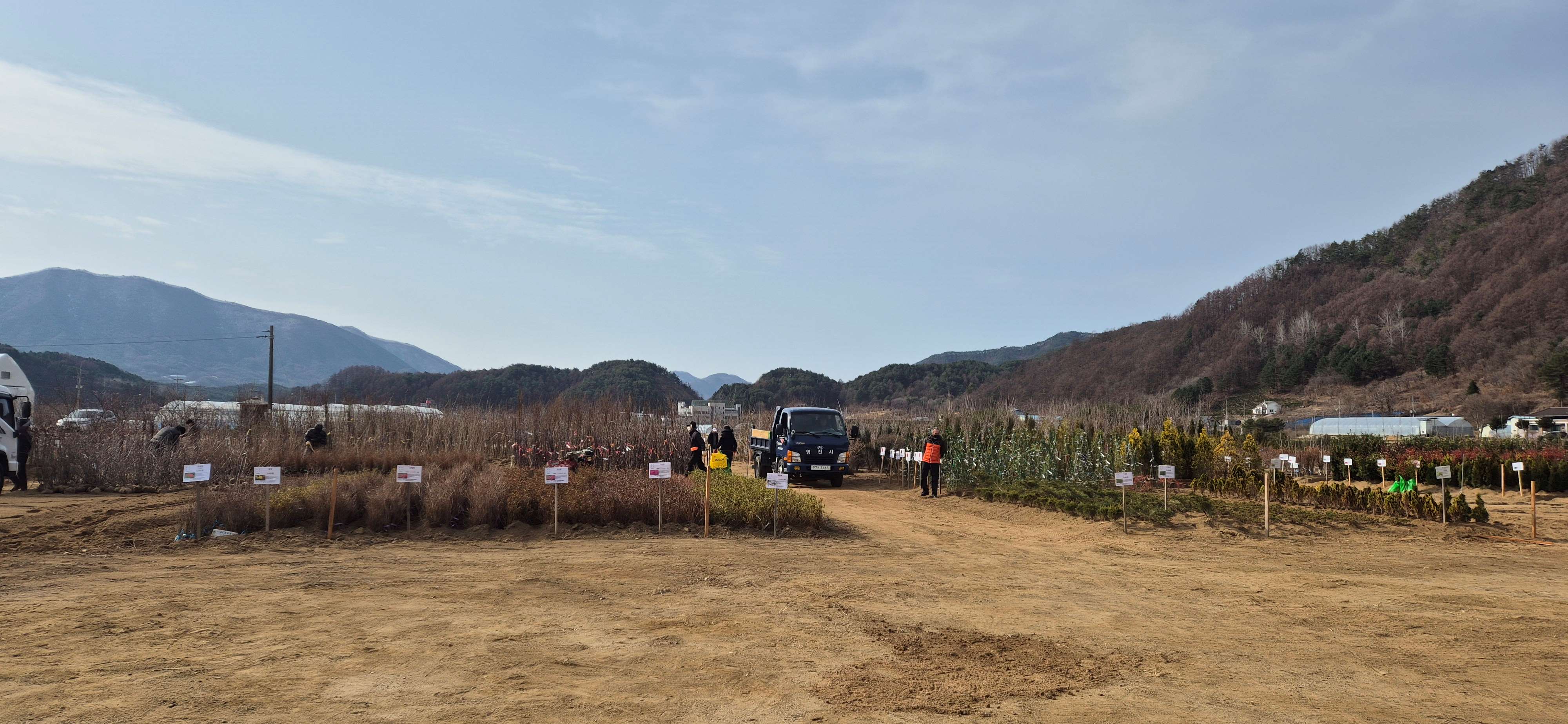 나무시장 전경.jpg