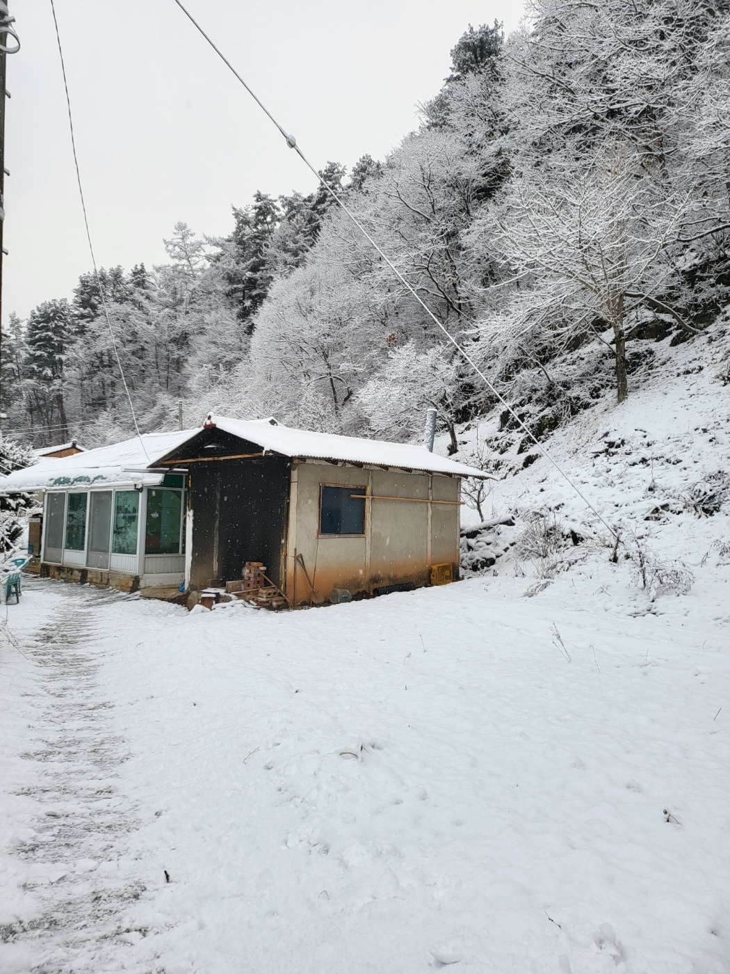1740186154880 - 복사본.jpg