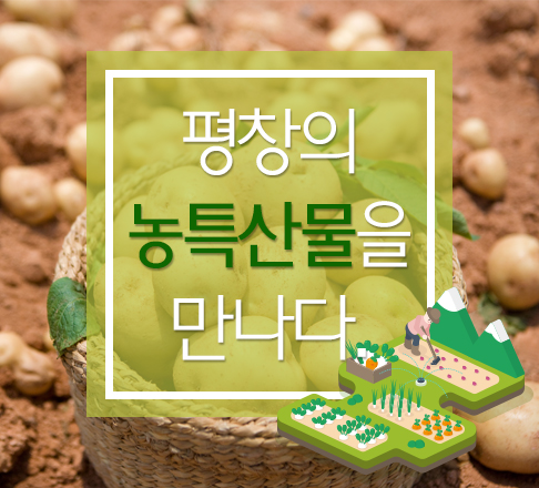 평창 농특산물 안내 알림창